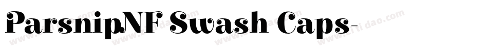 ParsnipNF Swash Caps字体转换